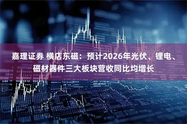 嘉理证券 横店东磁：预计2026年光伏、锂电、磁材器件三大板块营收同比均增长