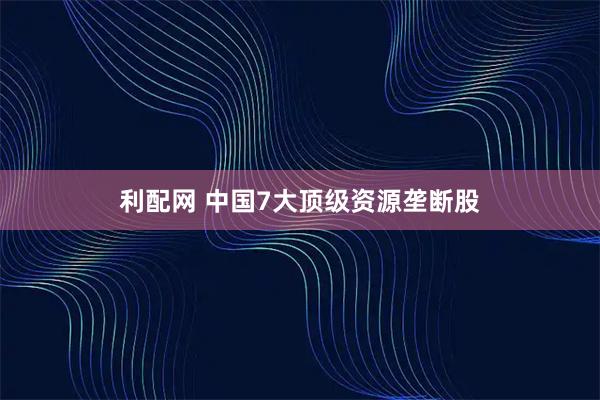 利配网 中国7大顶级资源垄断股
